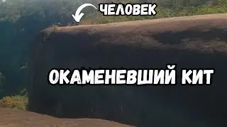 Тайна каменных китов: доказательства существования кремниевой формы жизни