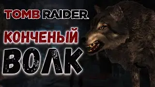 Первые перестрелки/ Tomb Raider #3