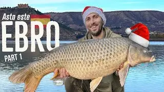 Raiul Pescarilor: Paradisul Pescuitului pe Râul Ebro🇪🇸🎣