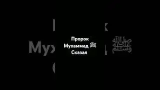 Пророк Мухаммад ﷺ сказал.#религия #ислам #хадис #шортс