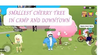 Location of smallest cherry tree in camping and downtown #playtogether