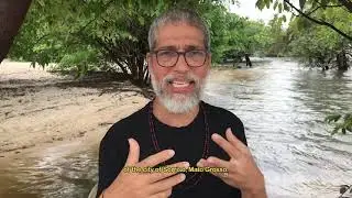 DIA DA AMAZÔNIA