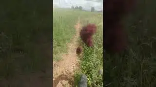 покатушки на велосипеде