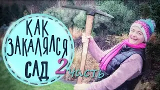 Вторая часть! 🍀🍀🍀 Чем закончились 6 лет пересадок? 10 секретов планирования сада.