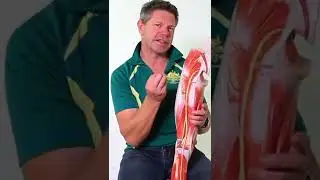Treating Piriformis Syndrome