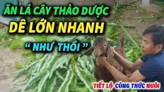 Khám Phá 