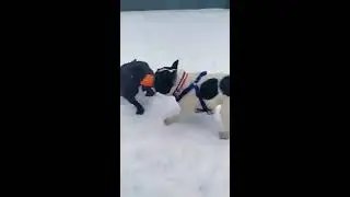 2 февраля 2020 г.