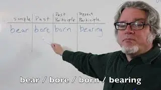 bear