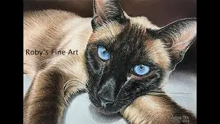 Siamese Cat Pastel Demonstration by Roby Baer PSA