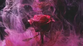 Impulse Humming Background Nasheed speed up