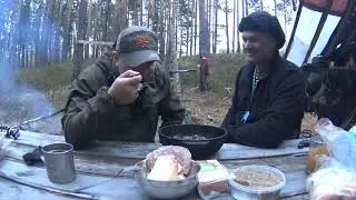 МЕДВЕДЬ РЯДОМ/ИЗБА/ РЫБАЛКА/ ГРИБЫ #тайгахмао #изба в тайге #щука