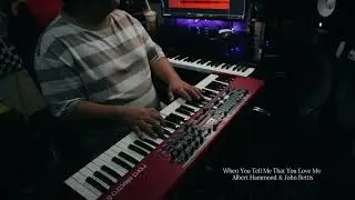 When You Tell Me That You Love Me (Piano Cover)