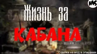 📌СТАЛКЕР ЖИЗНЬ ЗА КАБАНА☢👍