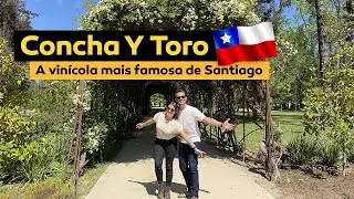 Conhecendo a Concha y Toro - Chile