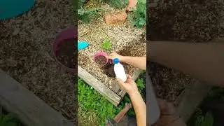 TEST DE FERTILIDAD EN EL SUELO #huerto #plantas #huerta #huertinadetoni #suelo #cuidadohuerto
