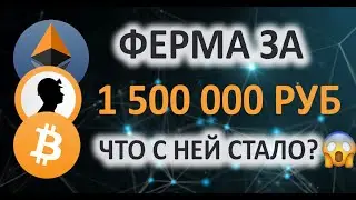 Майнинг ферма за 1 500 000 руб! Что с ней стало? 😲 Доход, окупаемость.