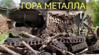 За 2.5ч.стипендия за ГОД!