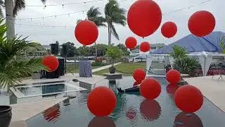Pool Balloons & Jumbo Pool Balloon Decor, 561.385.2047 - Palm Beach, Boca Raton, Delray Beach,