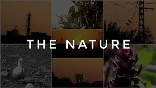 The Nature Cinematic Vlog|Cinematic |2021