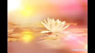 УБЕРИ ТЯЖКУЮ НОШУ СУДЬБЫ , открой дорогу для счастья и любви