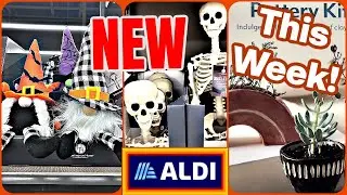 WHAT'S NEW AT ALDI | HALLOWEEN & FALL ARRIVALS, October 2, 2024
