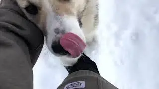 Камчатка банные