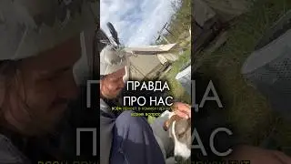 ГДЕ МЫ ЖИВЕМ? #влог #блог #вигвам #собака #дом #хиппи #hippie