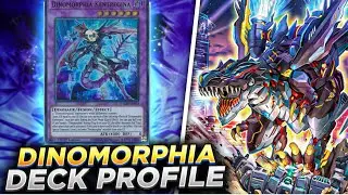 The Ultimate Rogue Deck!? Dinomorphia Deck Profile (August 2024)
