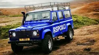 JKR Rebrands the RSPCA with a Bold New Look and Purpose-Driven Identity