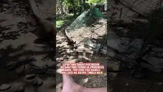 TUNOG NA MASARAP PAKINGGAN SA PROBINSYA