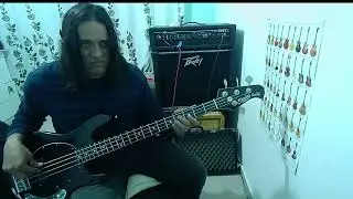 The Smiths Heaven Knows I'm Miserable Now   bass cover