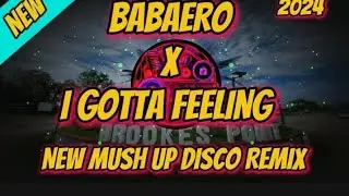 DJ MUSH UP | BABAERO X I GOTTA FEELING | NEW TIKTOK DISCO REMIX 2K24 | Mr. Ronz Vlog Remix 🇵🇭