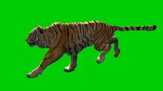 Hghhgiyghitjjfbhjvvnjkkkkhhhbbh