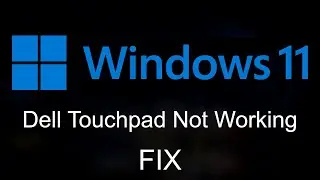 Dell Touchpad Not Working in Windows 11  [2021 Tutorial]