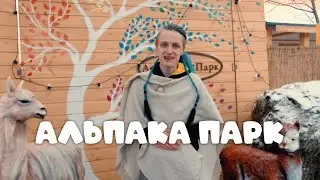 По_йпоехали - Альпака парк