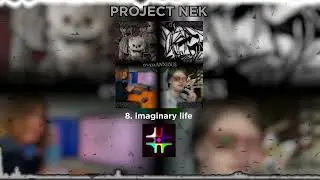 8. PROJECT NEK — imaginary life