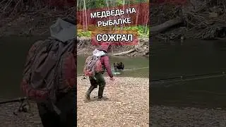 МЕДВЕДЬ НА РЫБАЛКЕ. СОЖРАЛ.