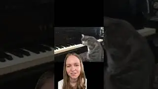 Masterful piano playing 😮 