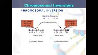 Inversions
