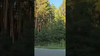 Доброе воскресное 🫶