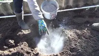 ЗАКОНЧИЛИ СЕЗОН ПЕРЕСАДОК