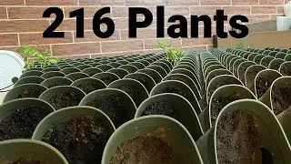 I Put This on The Wall To Grow Year-Round Food