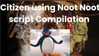 Citizen using the Noot Noot script Compilation 