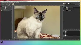 Using Brushes To Create Textures in GIMP