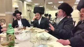 mu ushiv reb yankel ungar