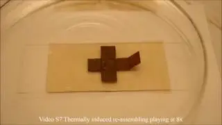 Photoresponsive Liquid Crystalline Epoxy Networks with Shape Memory Behavior and Dynamic Ester