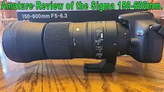 Amateur Review of the Sigma 150-600mm F5-6.3 DG OS HSM Lens on a Canon Rebel T6i.