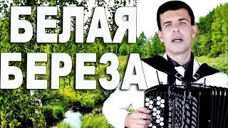 Боже, как парень поет!!! Аж мурашки по коже! (Белая береза под баян)