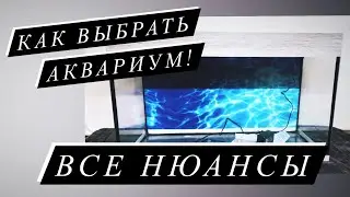 Как выбрать аквариум новичку