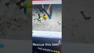 I am the piñata demolishor